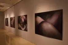 Zdjęcie wystawy w galerii.