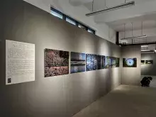 Prezentacja fotografii na wystawie - Kacper Frąckowiak