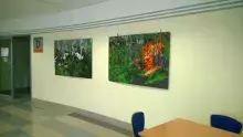 Wystawa „Młode malarstwo”
