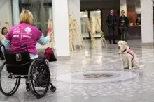 Zajęcia: Wykorzystanie psów w procesie rehabilitacji