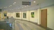 Wystawa prac studentów ASP w Gdańsku