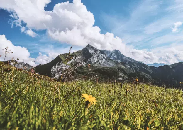 Czerwcowy „Action Research Summer Camp” w austriackich Alpach - spotkanie informacyjne dla…