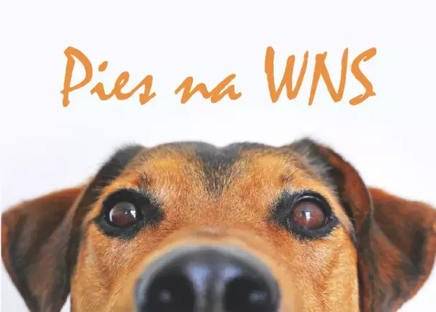 Z psem na WNS! Zgłoszenia do 20 grudnia