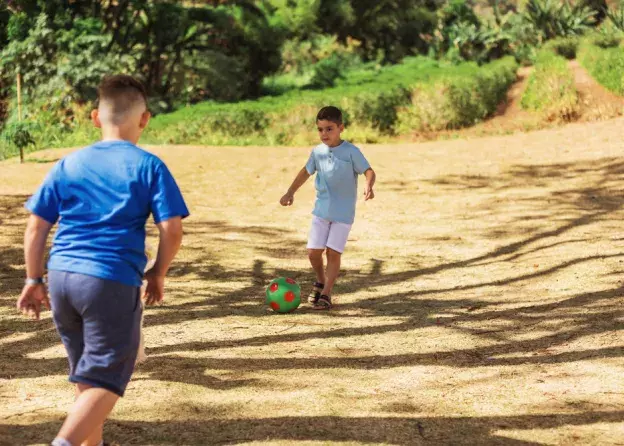 Projekt CIELO (Innovative Curriculum for Latin America to Build Capacity in HEIs to Prevent Obesity…