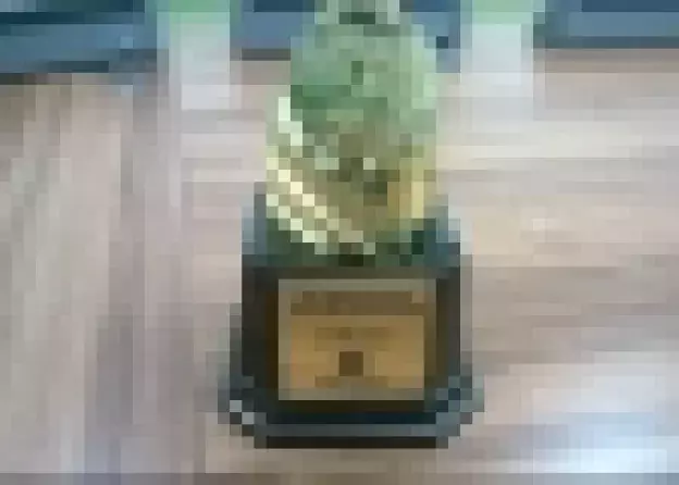 Złoty medal siatkarek WNS