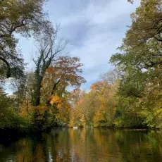 Widok na jezioro w otoczeniu drzew