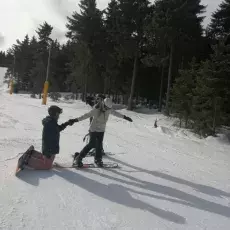 Dwoje ludzi na śniegu, w tle drzewa iglaste