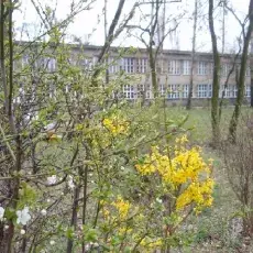 Budynek IP przy ulicy Krzywoustego 19, w Gdańsku Oliwie